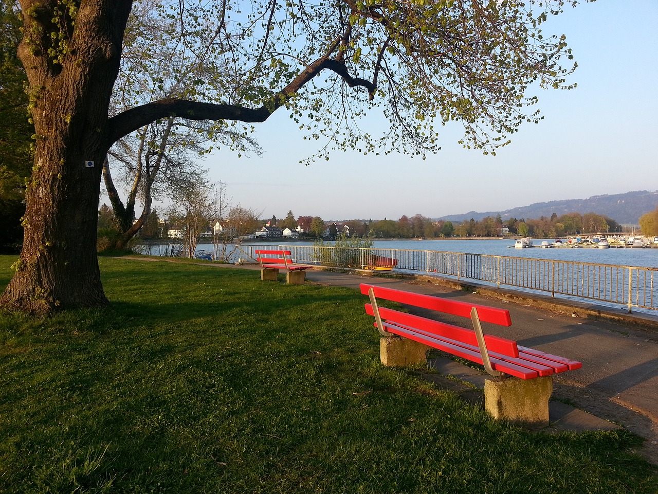 能球员取代 能球员取代