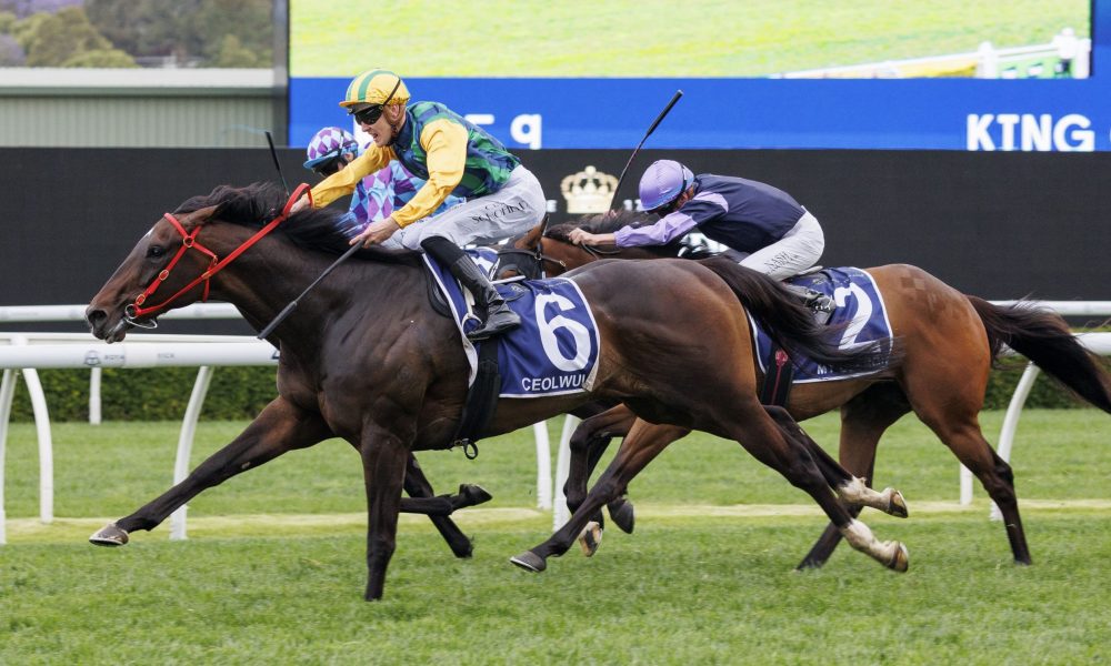 持热爱的信 持热爱的信