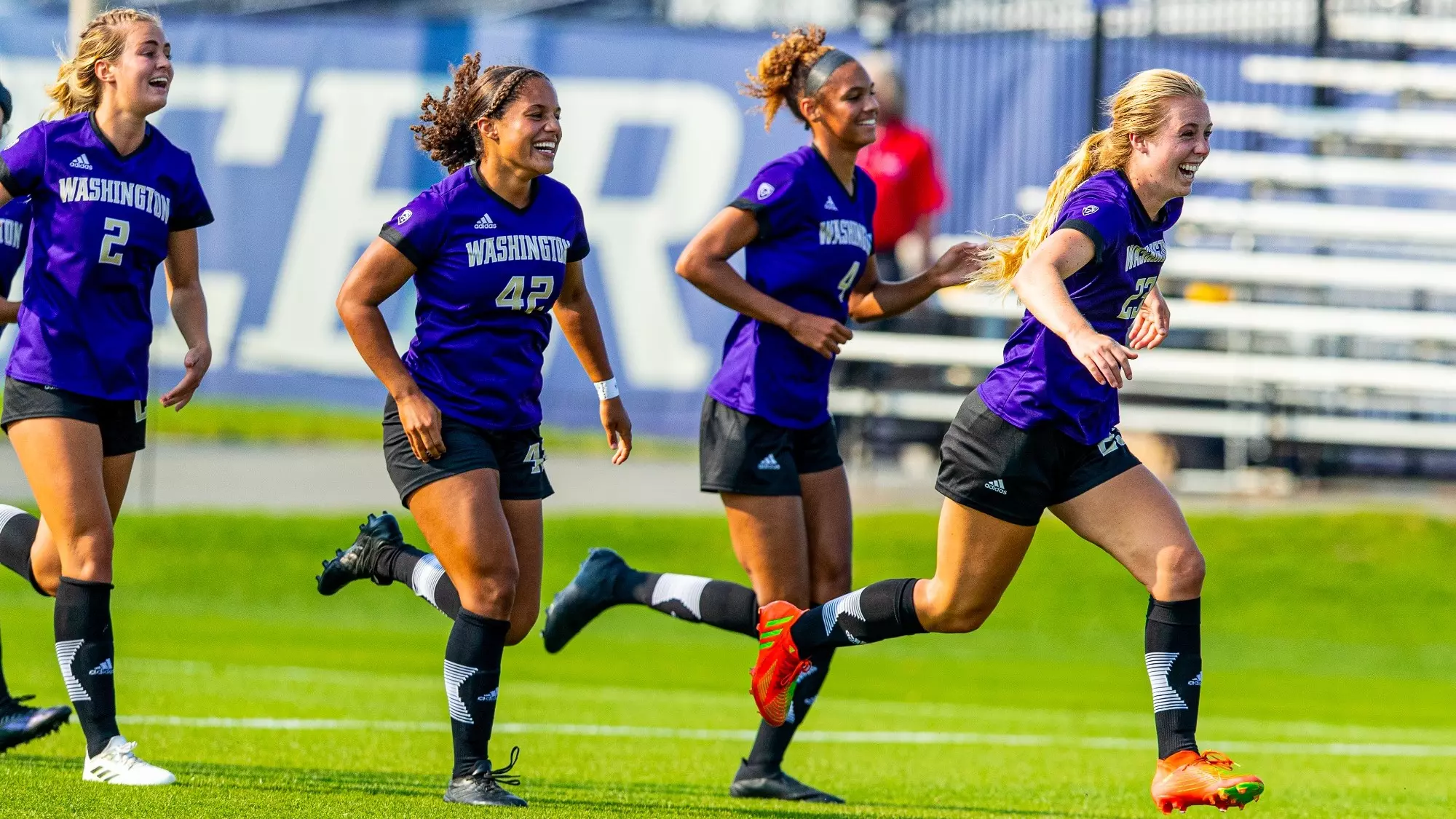 出了极高的 出了极高的